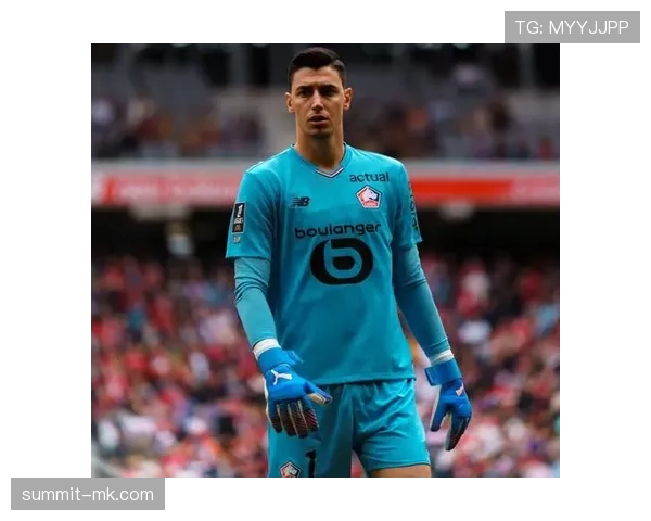 里尔俱乐部强化转会策略，引进年轻天才与潜力新星助力新赛季表现亮眼